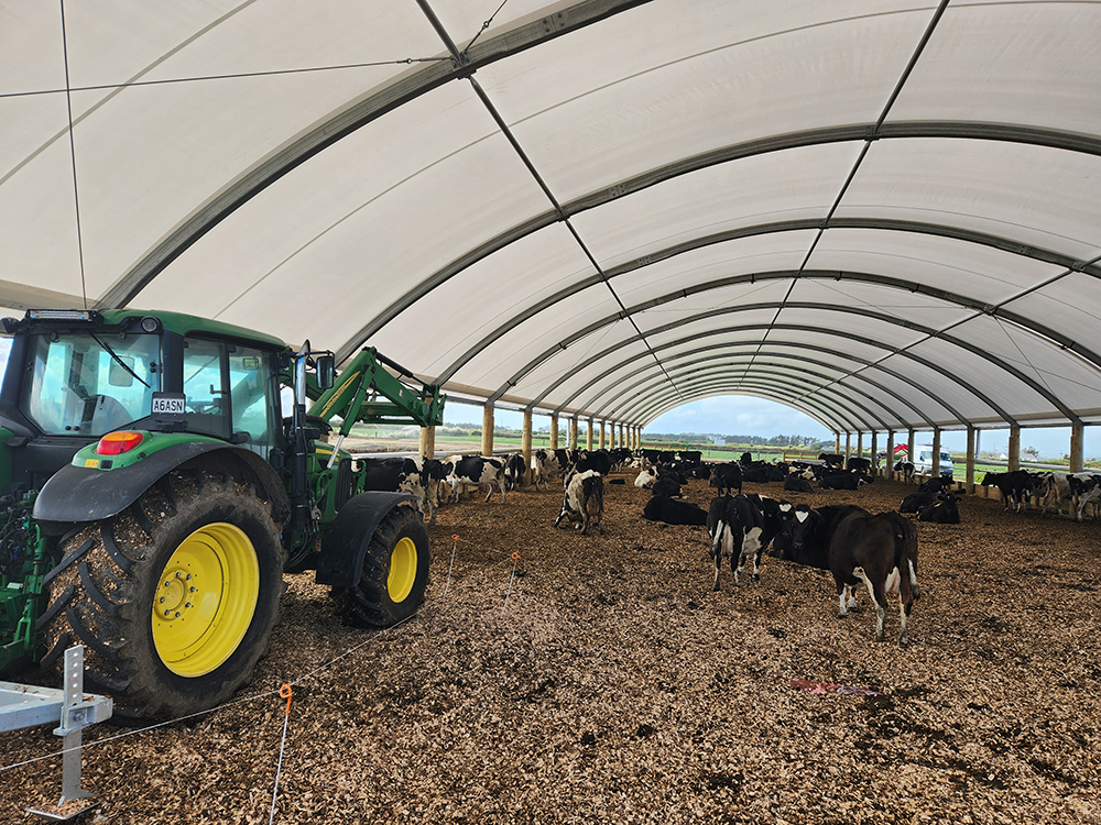 18 W x 70m L Composting Barn, Taranaki