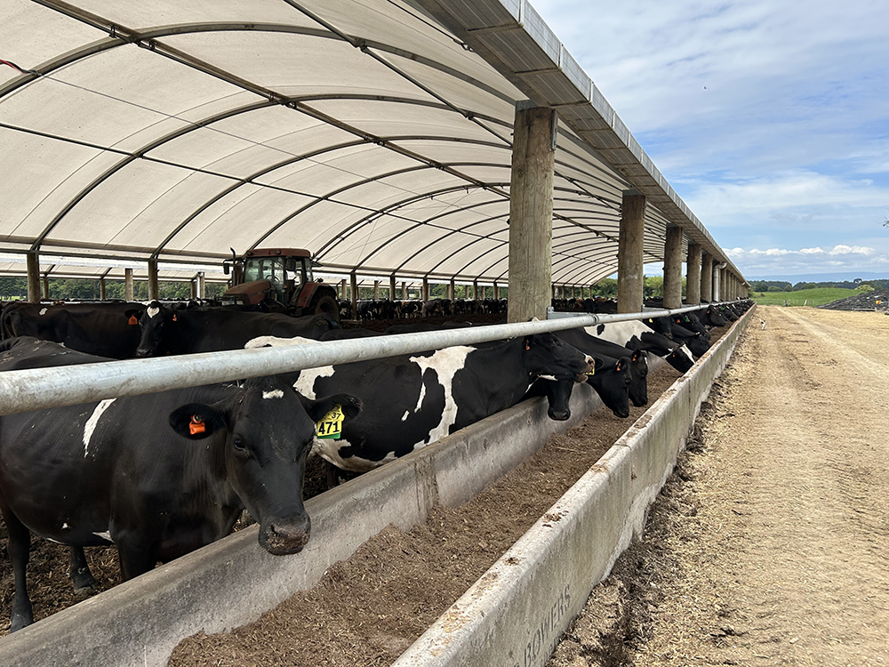 Header Rail for cow barn