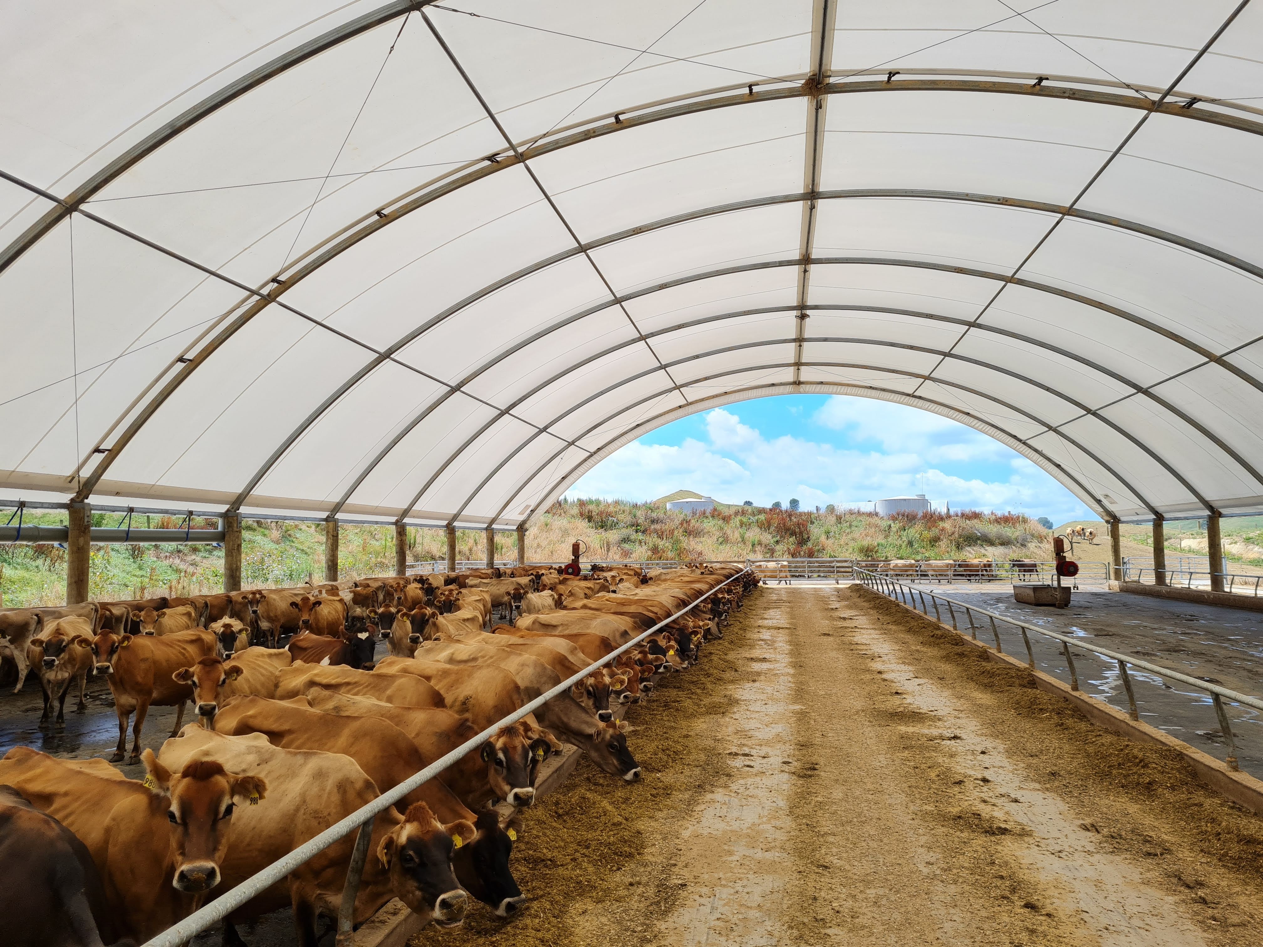 Centre feed lane (2)