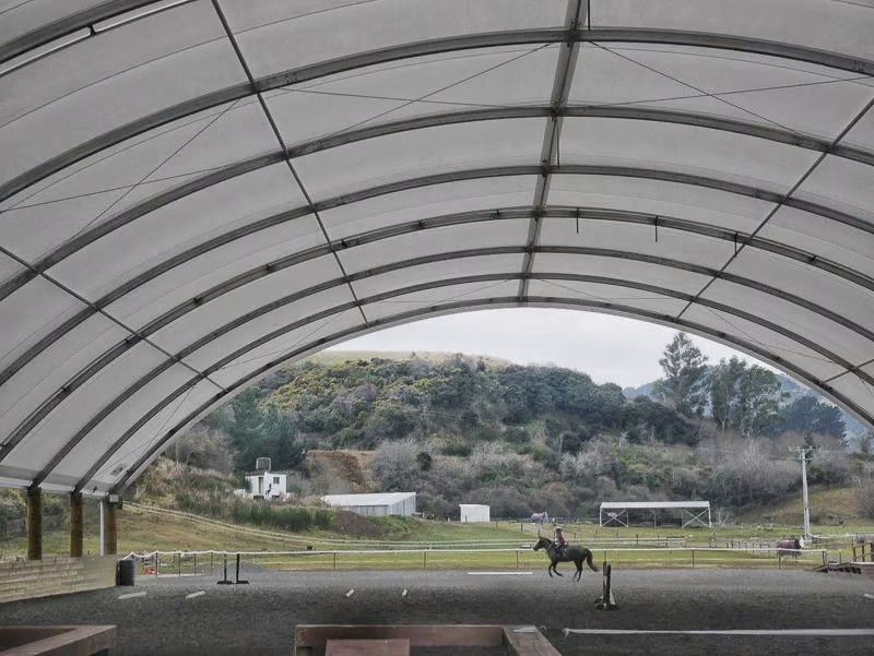 Do horses legally need to have shelter
