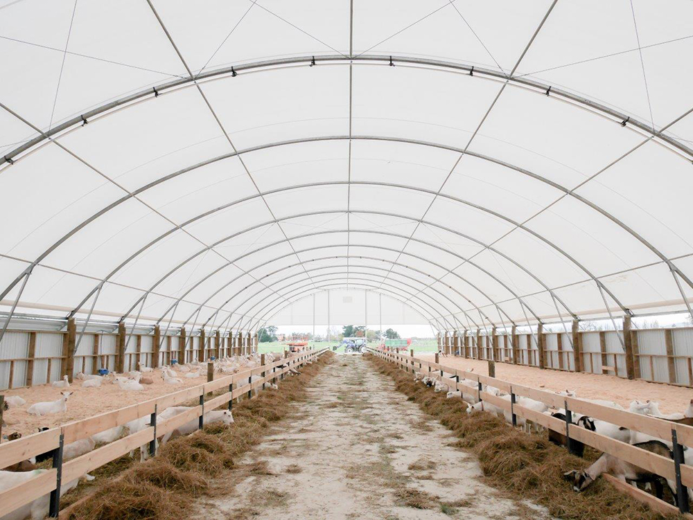 Dairy Goat shed