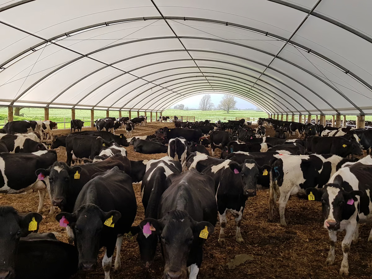 How to manage and prevent pasture damage
