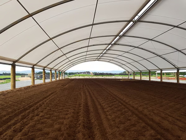 Keeping cows cool – how important are shade and sprinklers in summer2