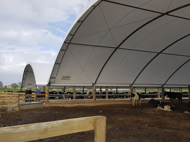 Preventing heat stress for cattle