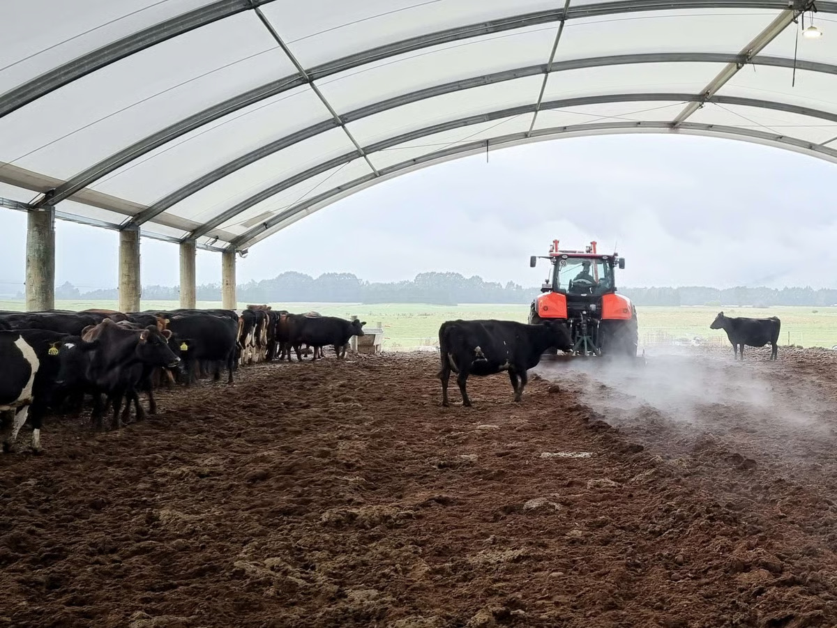 What does the future of the dairy industry look like