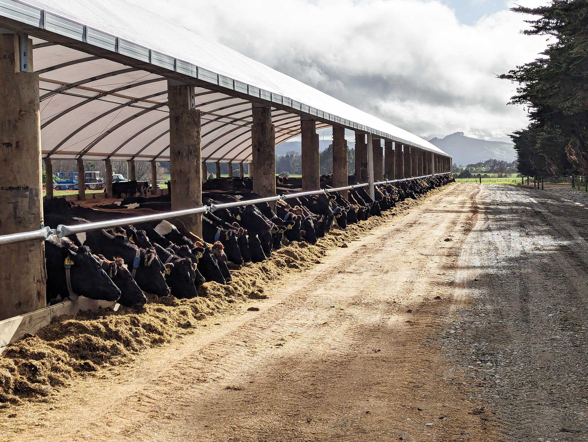 Wintering Ballance Farm2
