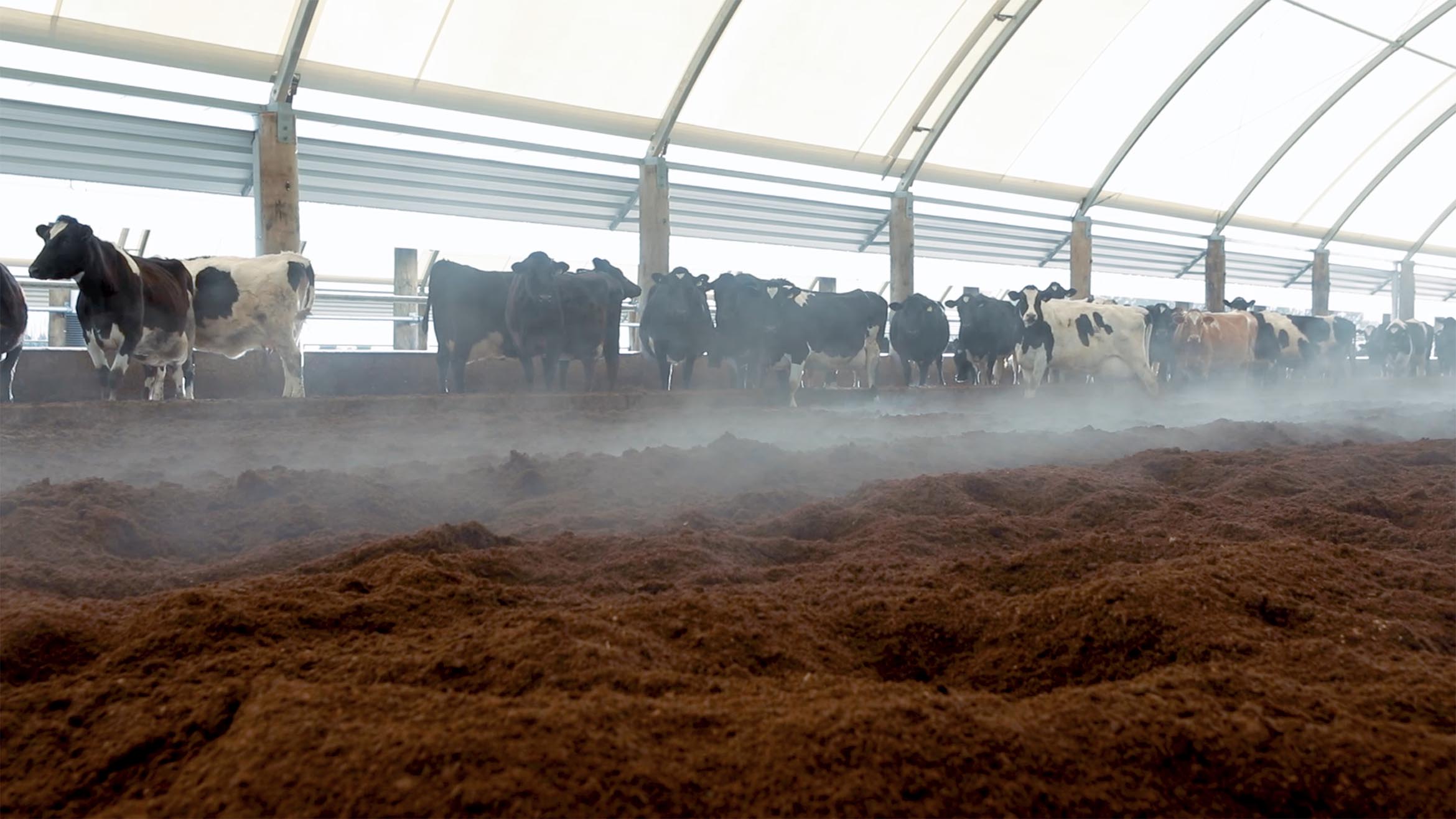 gerald holmes farm composting barn testimonial 19