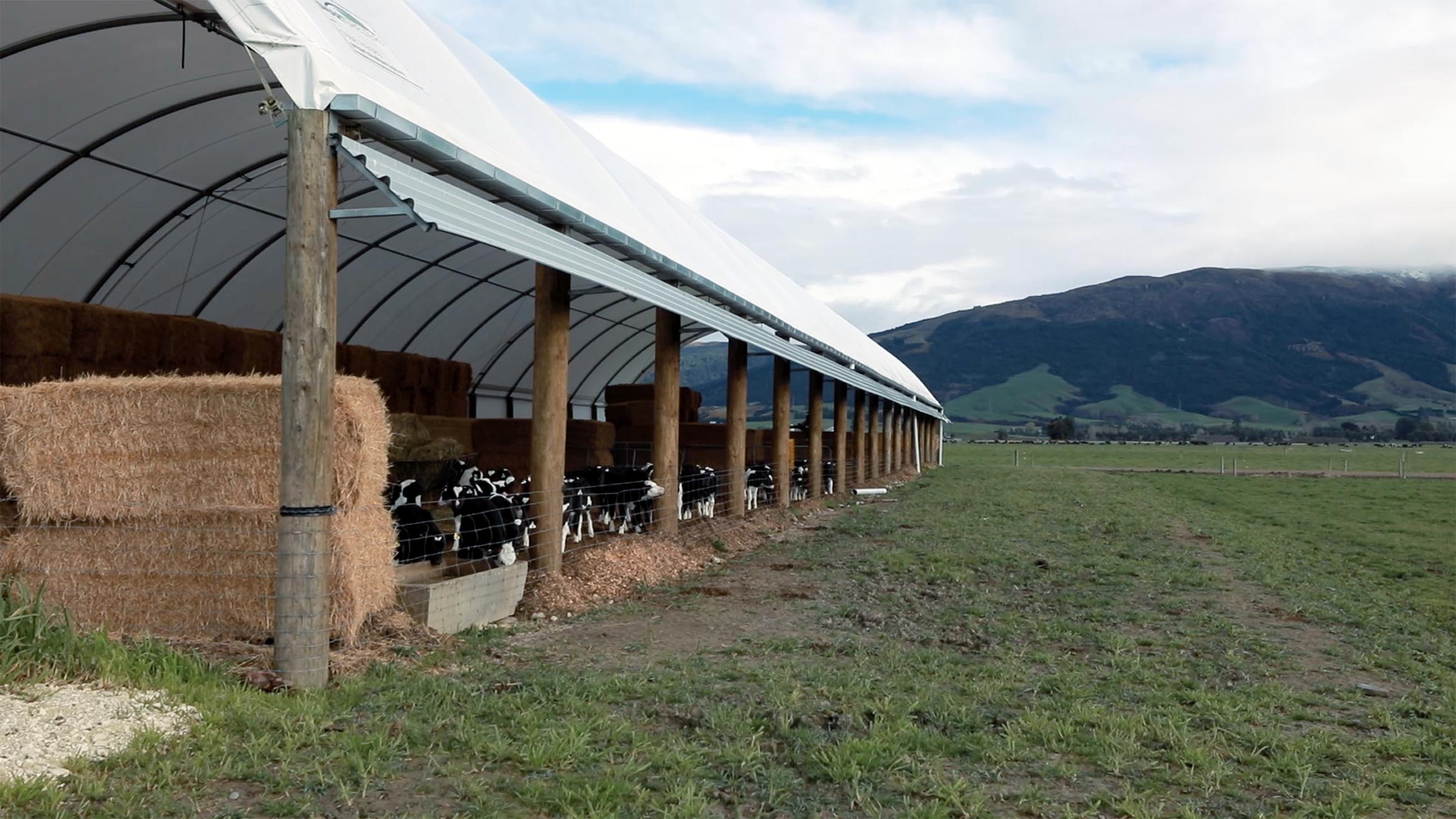 gerald holmes farm composting barn testimonial 4
