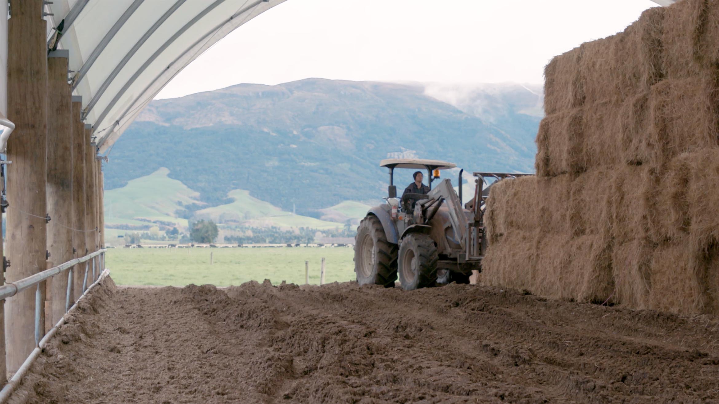 gerald holmes farm composting barn testimonial 7