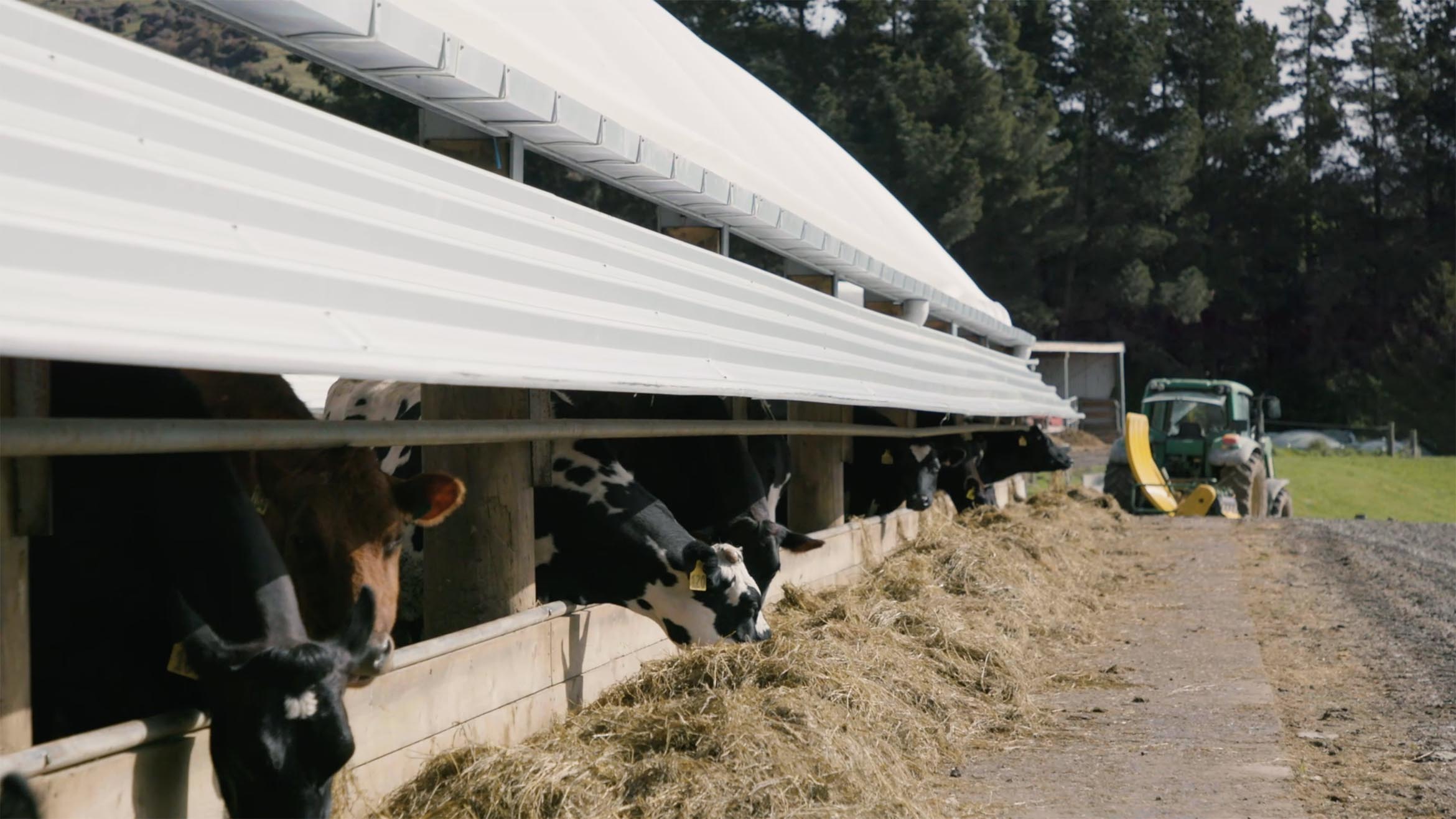 jenssen family farm wintering barn testimonial 2