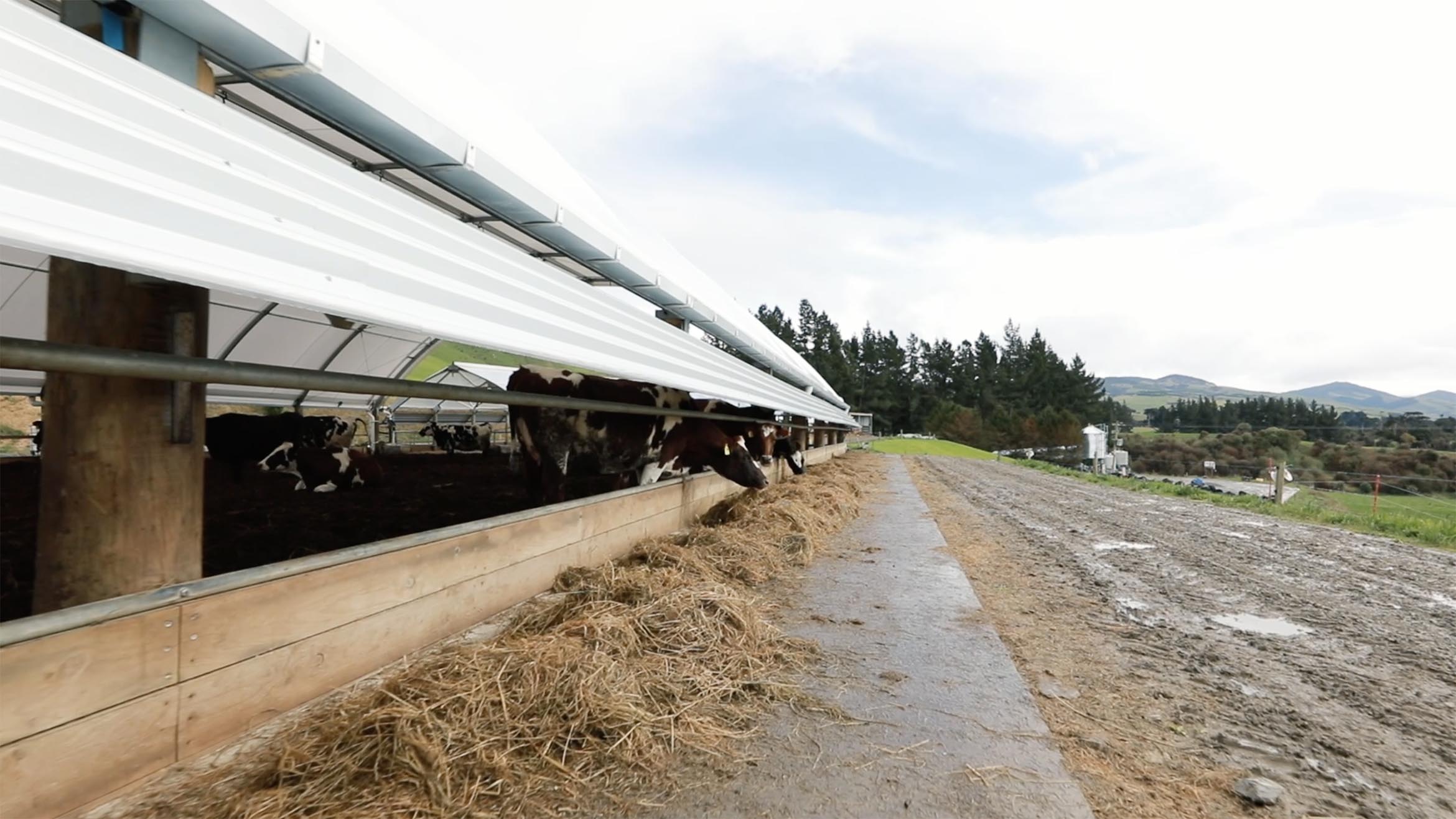 jenssen family farm wintering barn testimonial 4