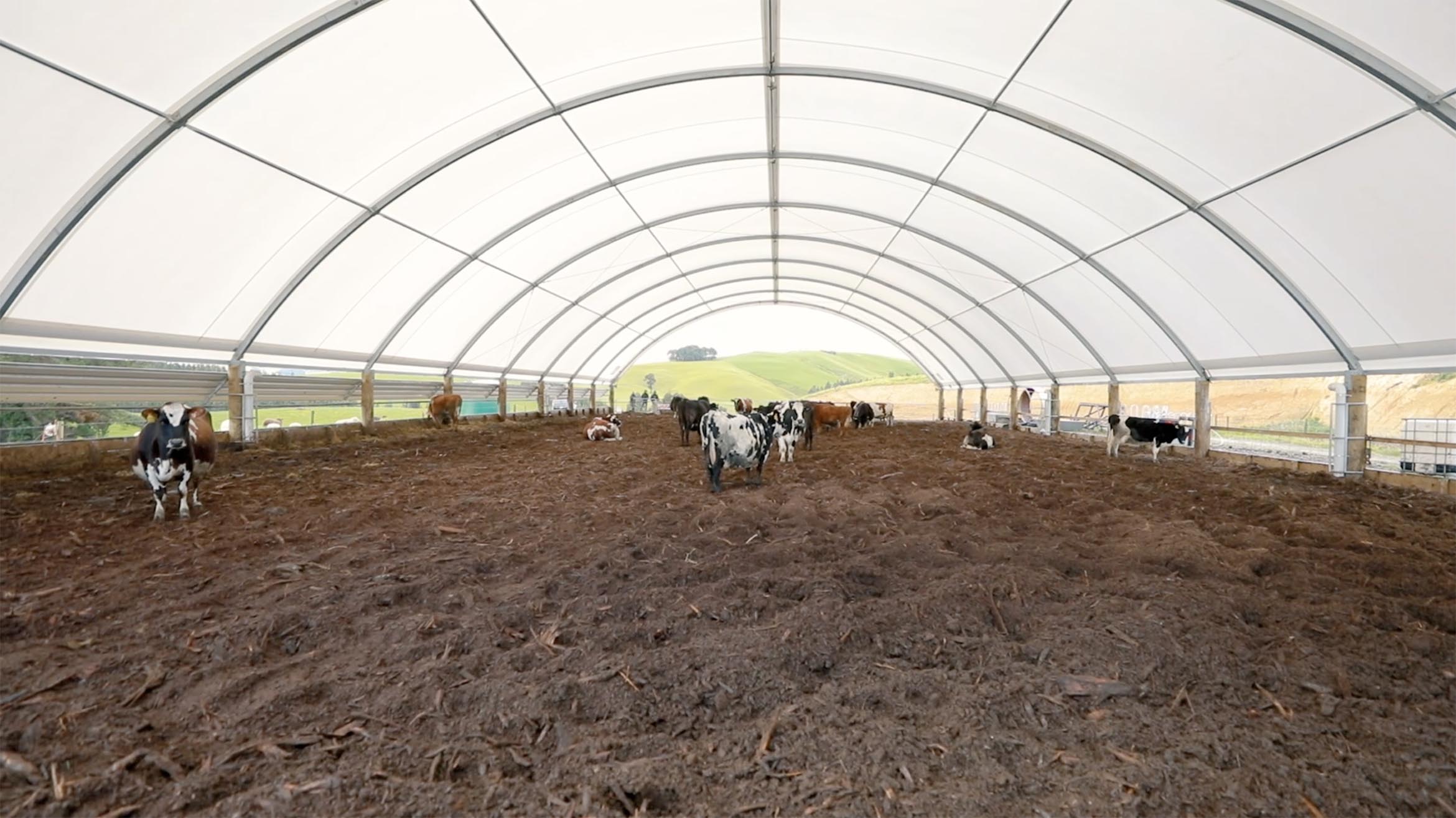 jenssen family farm wintering barn testimonial 8