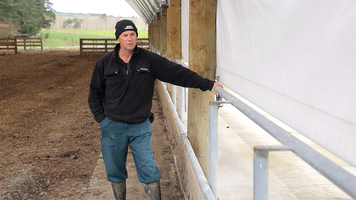 pukemutu dairies testimonial noel mcfarlane feed lane