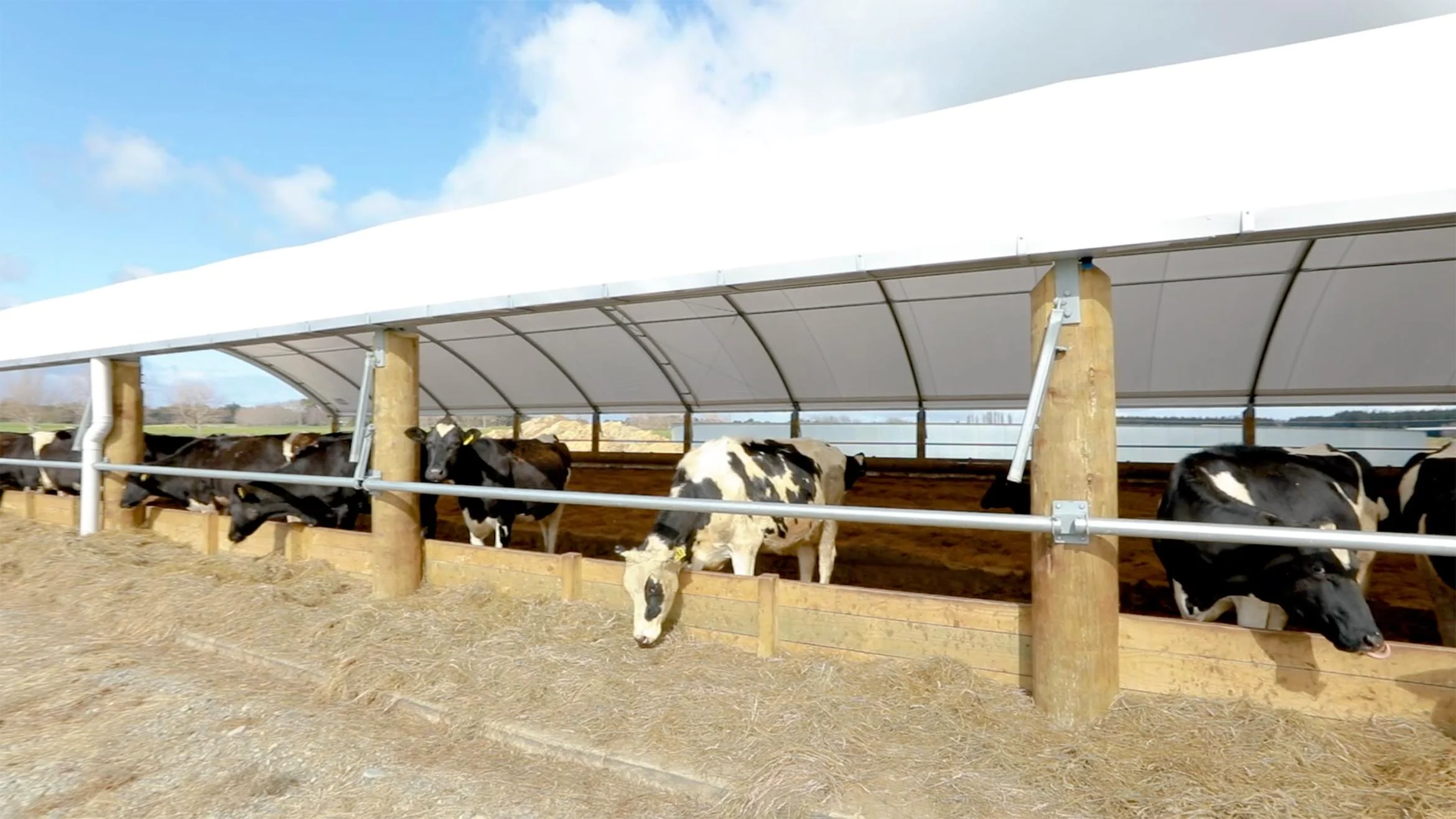 scott and jans southland farm composting barn testimonial 12